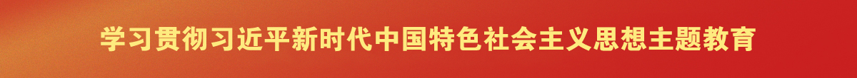 学习贯彻习近平新时代中国特色社会主义思想主题教育