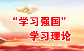 “学习强国” 学习理论