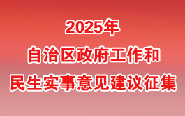 2025年自治区政府工作和民生实事意见建议征集